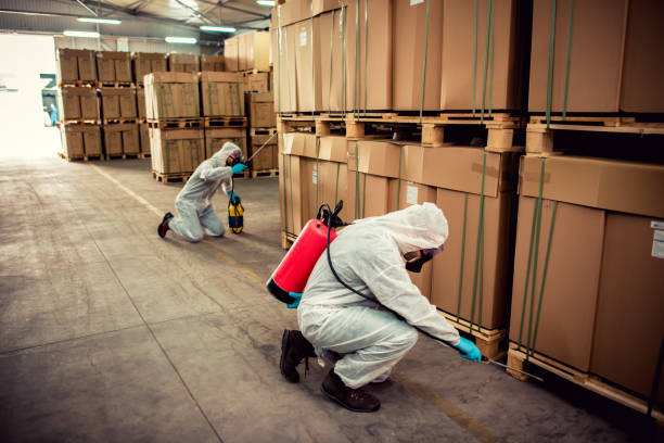 Best Best Pest Control Companies  in Priest River, ID