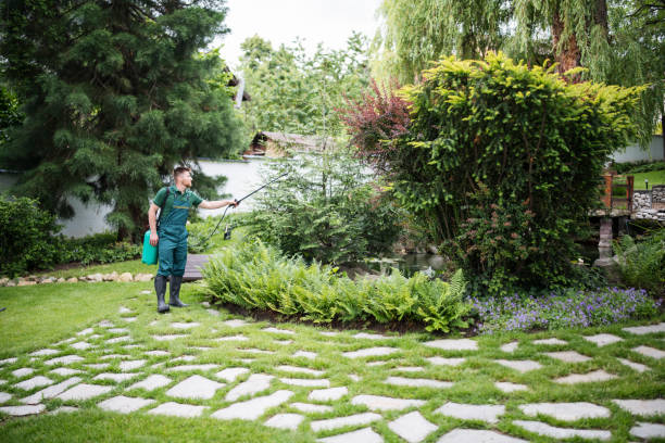 Best Affordable Pest Control Services  in Priest River, ID