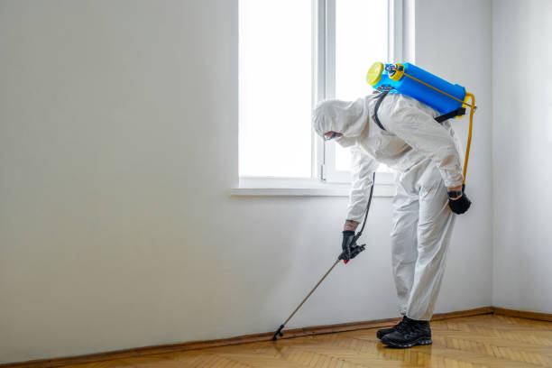 Reliable Priest River, ID Pest Control Solutions