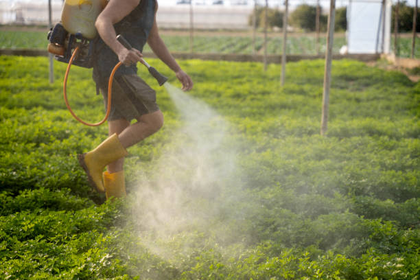  Priest River, ID Pest Control Pros