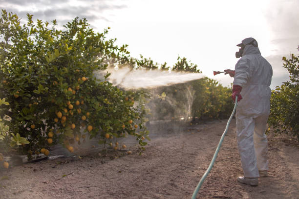 Best Cockroach Control Services  in Priest River, ID