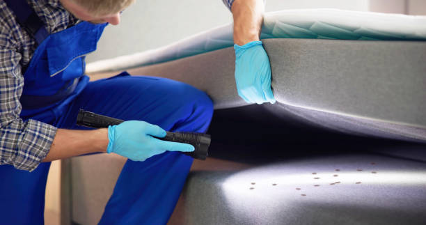 Best Best Pest Control Companies  in Priest River, ID