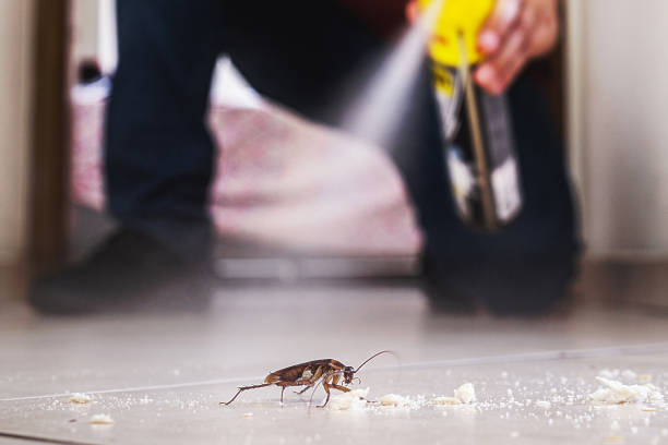 Best Emergency Pest Control  in Priest River, ID