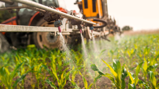 Best Affordable Pest Control Services  in Priest River, ID